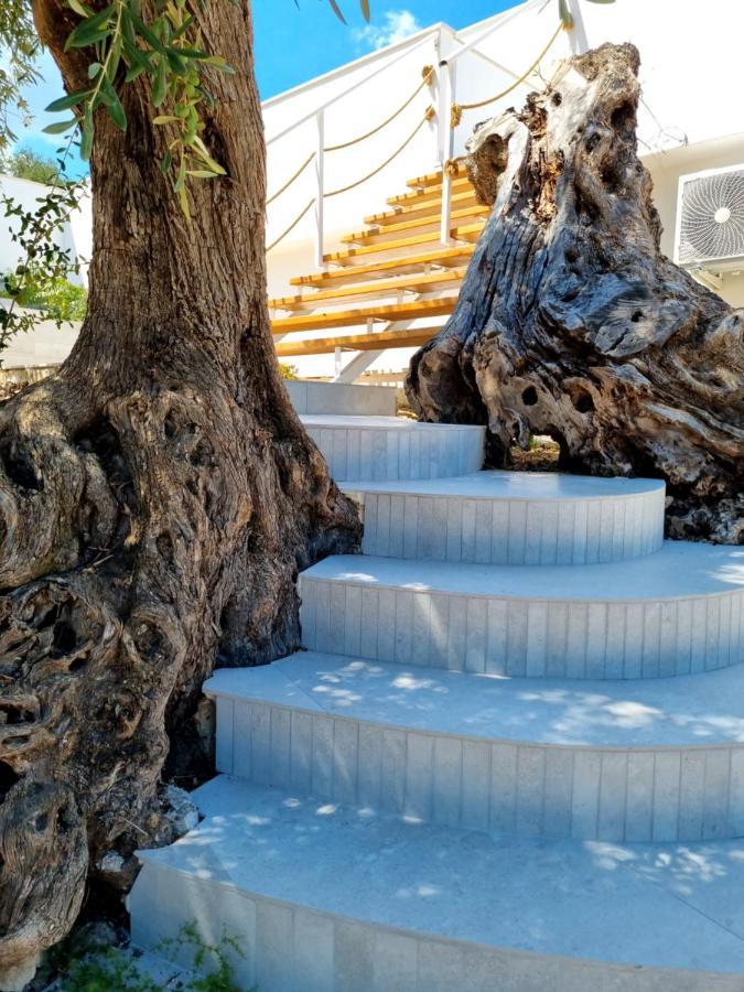 Le Fronde Vieste Buitenkant foto