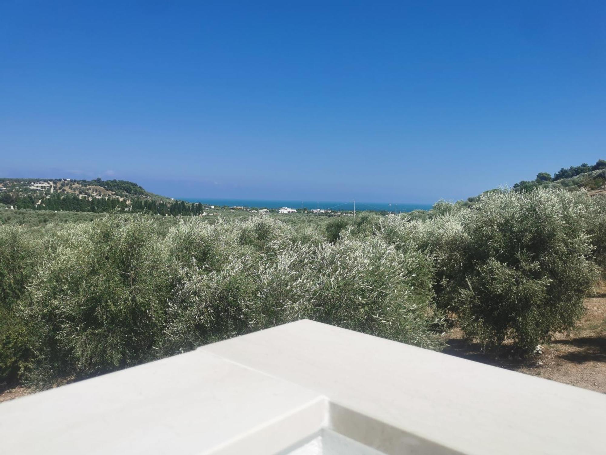 Le Fronde Vieste Buitenkant foto